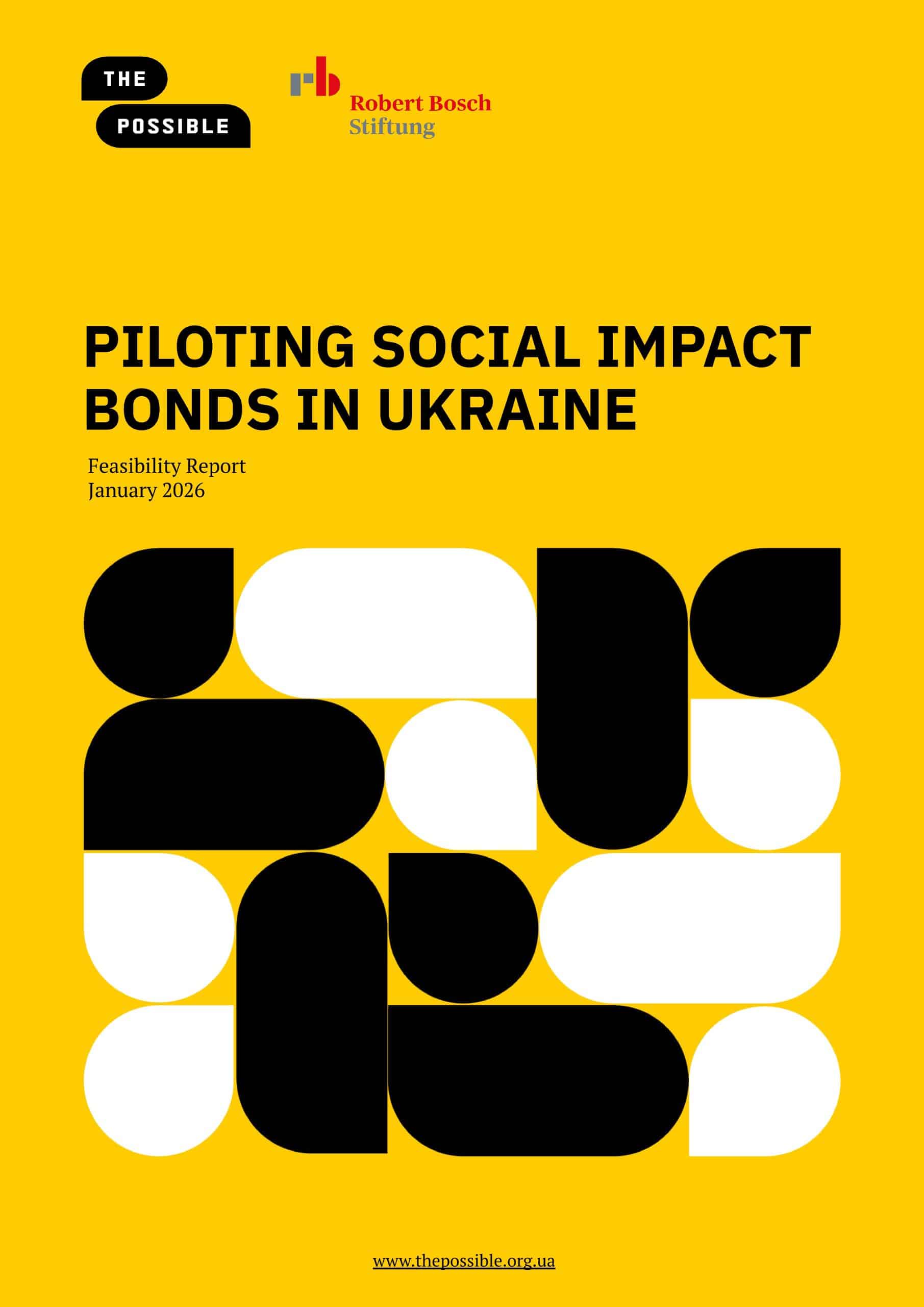 29012026 - Feasibility Report - SIB in Ukraine_страницы